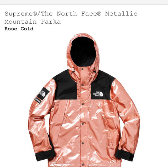 メンズsupreme TheNorthFace mountain parka rose