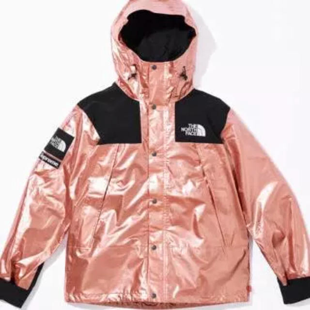 Supreme(シュプリーム)のLサイズ Supreme The North Face マウンテンパーカー メンズのジャケット/アウター(マウンテンパーカー)の商品写真