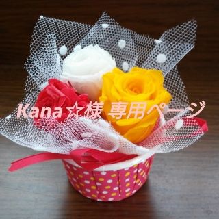 Kana☆様 専用ページ(その他)