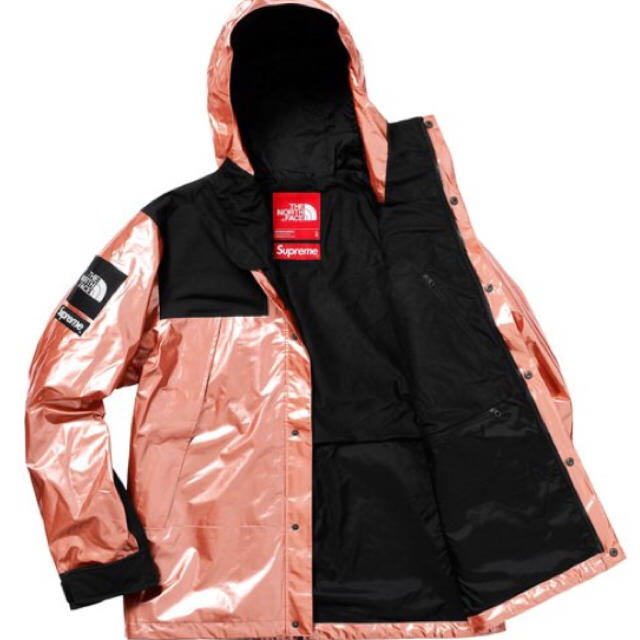 Supreme(シュプリーム)のpassssss様専用【Lサイズ】送料込みSupreme×North Face メンズのジャケット/アウター(マウンテンパーカー)の商品写真