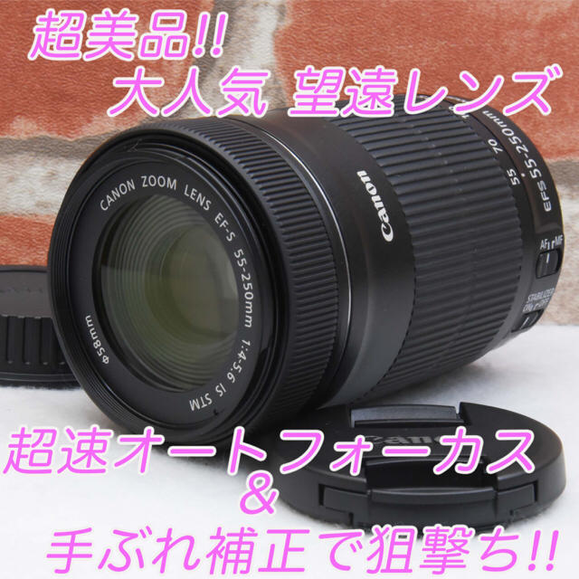 ☆美品！Canon EF-S55-250mm F4-5.6 IS STM