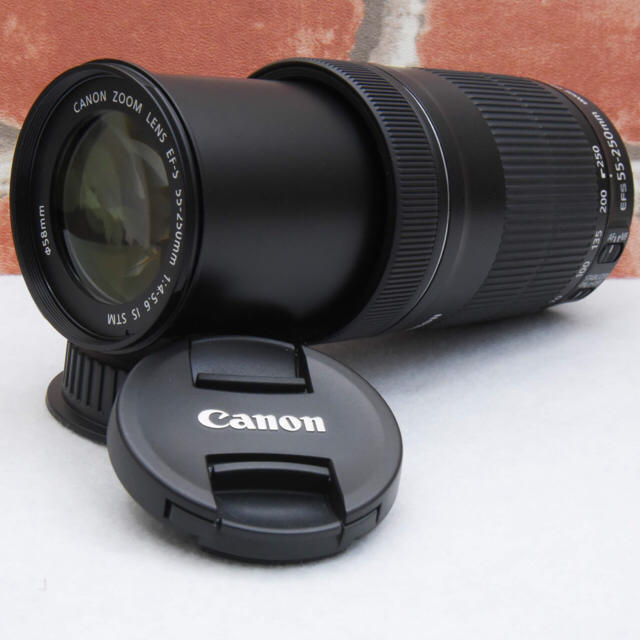 ☆美品！Canon EF-S55-250mm F4-5.6 IS STM [入手困難] スマホ/家電