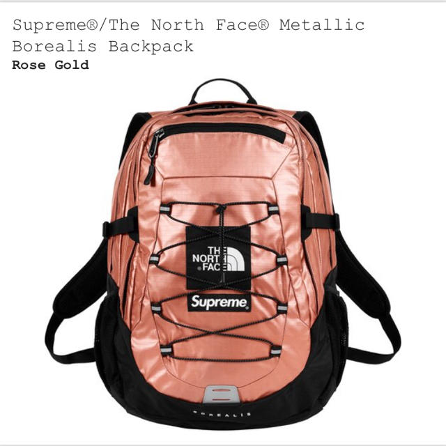 supreme North Face metllic backpack 1