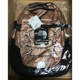 シュプリーム(Supreme)のsupreme North Face metllic backpack(バッグパック/リュック)