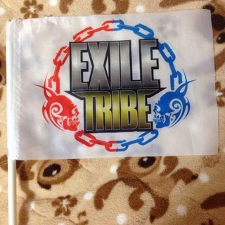 EXILE TRIBE フラッグ(アイドルグッズ)