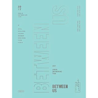 シーエヌブルー(CNBLUE)のCNBLUE  Between-Us DVD(ミュージック)