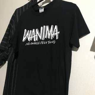 ワニマ(WANIMA)のWANIMA tシャツ ピザロゴ有り mサイズ(ミュージシャン)