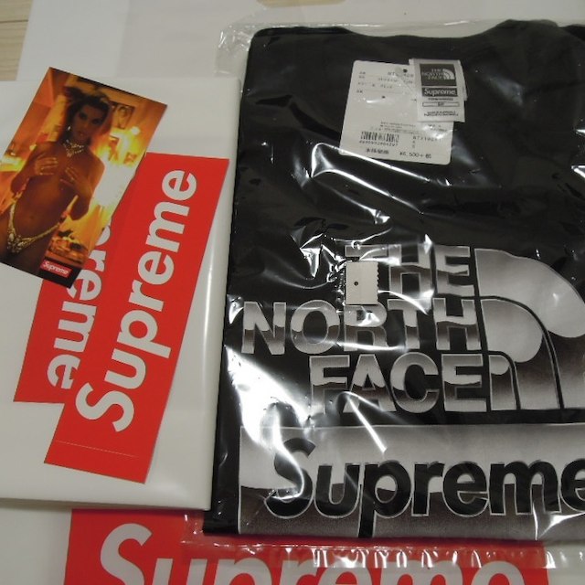 Supreme(シュプリーム)のSupreme North Face Metallic Logo T-Shirt メンズのトップス(その他)の商品写真