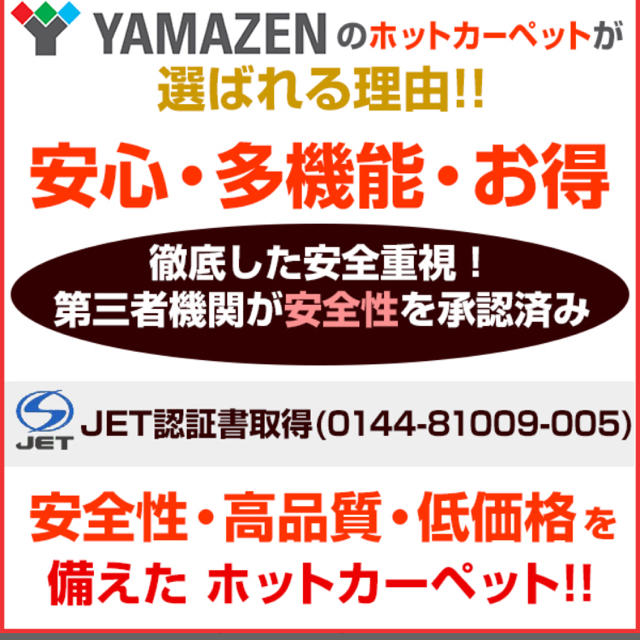 Panasonic(パナソニック)のあやか様 専用☺︎♡ インテリア/住まい/日用品のラグ/カーペット/マット(ホットカーペット)の商品写真