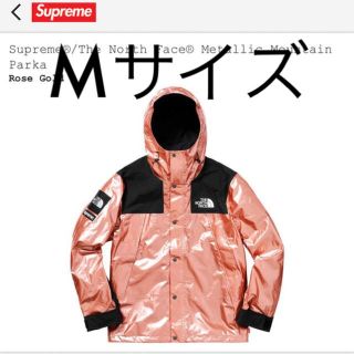 シュプリーム(Supreme)のニジマス様専用 The North Face Mountain Parka(マウンテンパーカー)