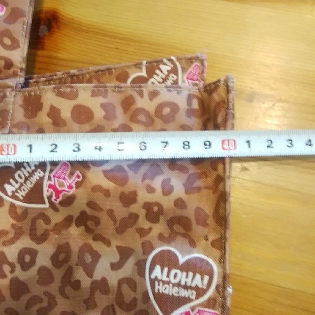 HALEIWA(ハレイワ)の専用商品　ａｌｏｈａ　ハレイワ　ビニールバッグ レディースのバッグ(エコバッグ)の商品写真