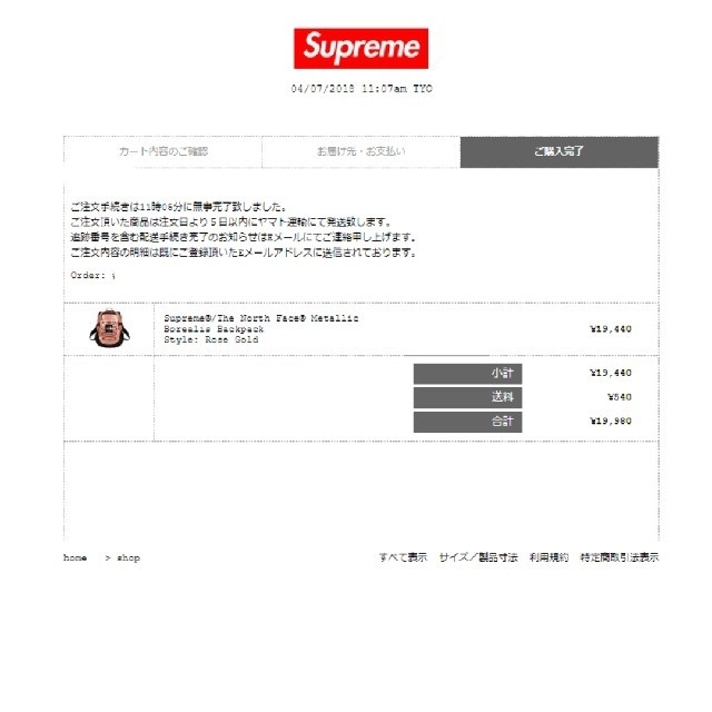 Supreme(シュプリーム)のsupreme 18ss the north face metallic メンズのバッグ(バッグパック/リュック)の商品写真