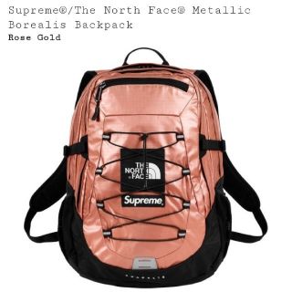 シュプリーム(Supreme)のsupreme 18ss the north face metallic(バッグパック/リュック)