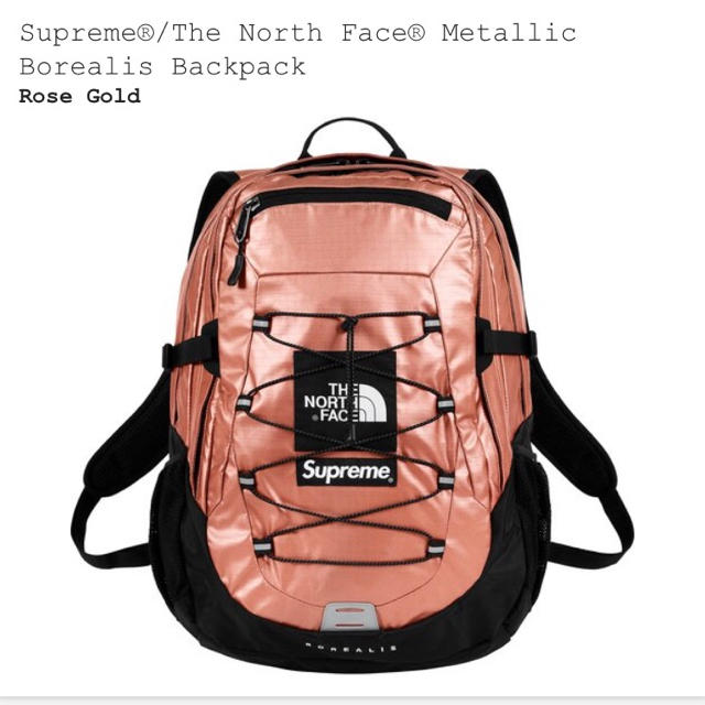 送料込み！supreme the north face backpack