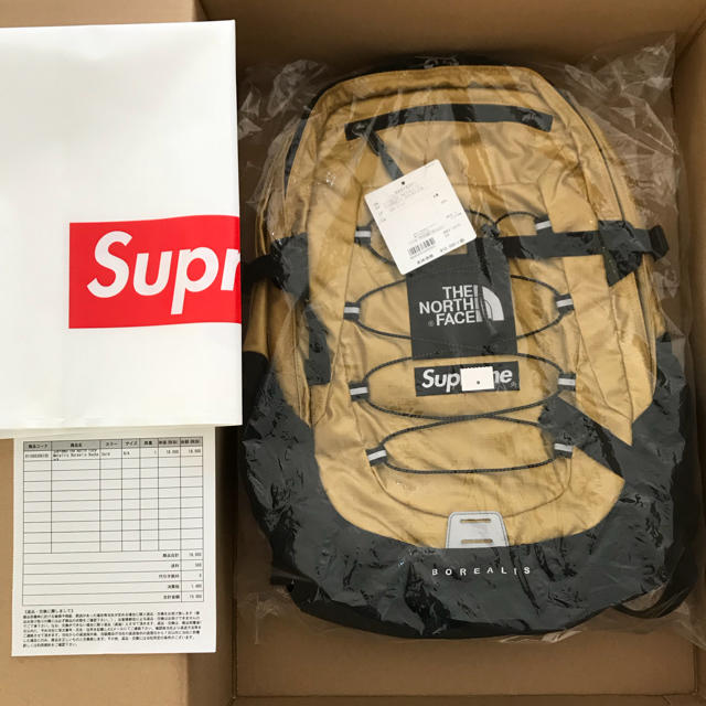 supreme THE NORTH FACE metallic backpack