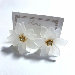 Harun♡大ぶりビーズピアス♡イヤリング可(ピアス)