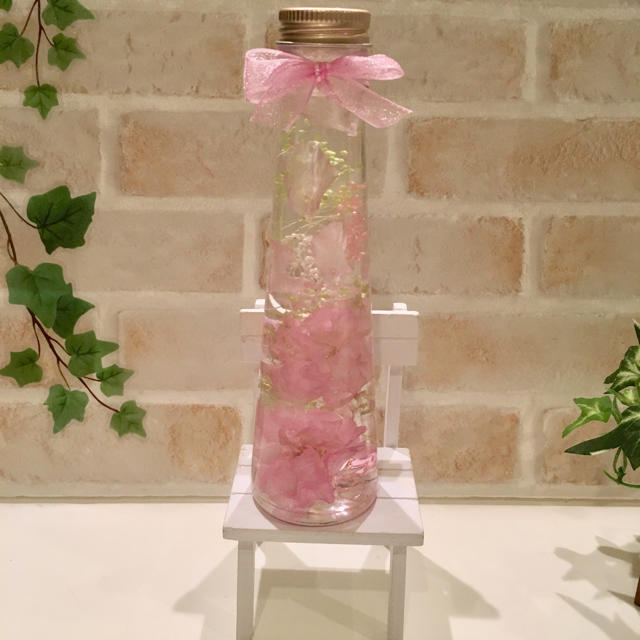 展示中   可愛いボタン桜
