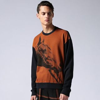 アクネ(ACNE)の3.1 phillip limの馬柄スウェット(スウェット)