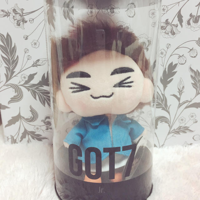 GOT7 ジニョン ドール | hmgrocerant.com