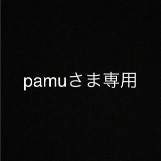 pamuさま専用(その他)