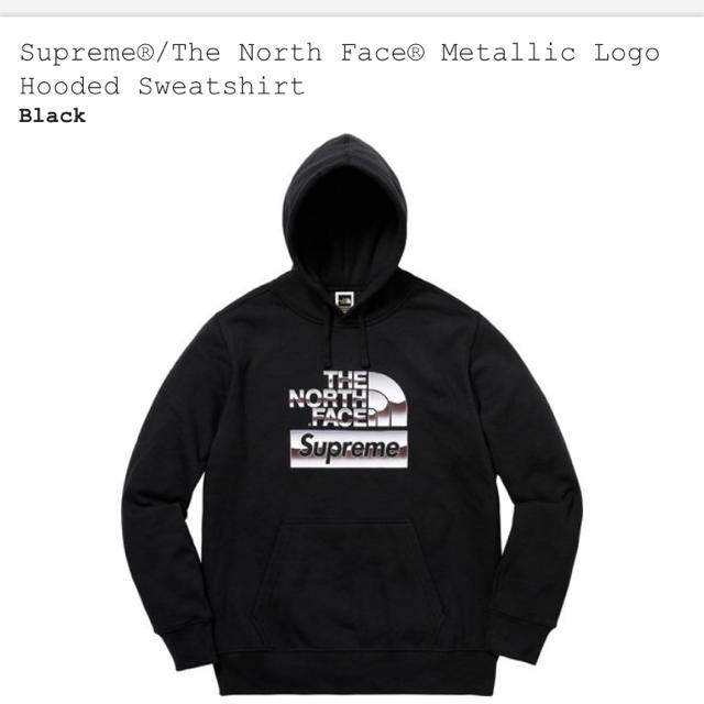 supreme the north face metallic logo Ｍ