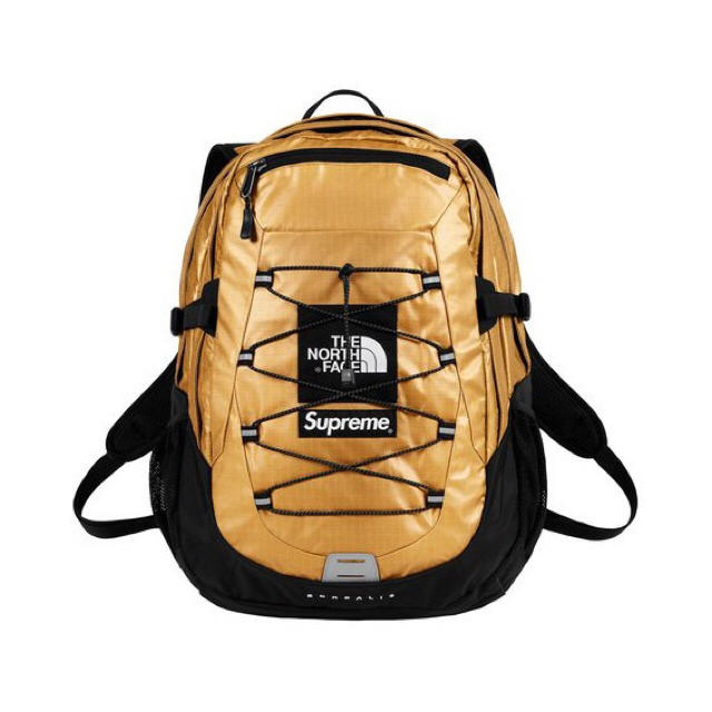 Supreme North Face  Backpack  バッグパック