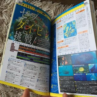 さえ様専用セブ島ガイドブック(地図/旅行ガイド)