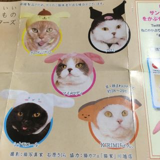 サンリオ(サンリオ)の可愛い猫のかぶりもの、サンリオキャラクター(その他)