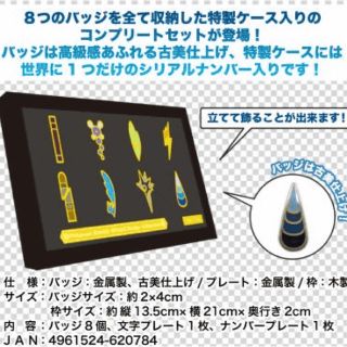 ポケモン(ポケモン)の ポケットモンスターブラック2ホワイト2 バッジコレクション コンプリートセット(バッジ/ピンバッジ)