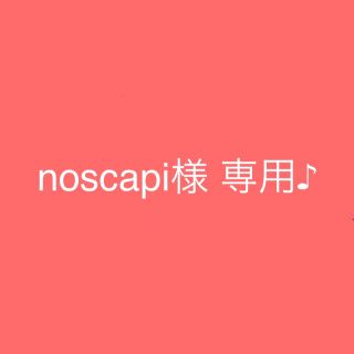 noscapi様 専用♪アイロンビーズ パーラービーズ小分と透明ハートLプレート(知育玩具)