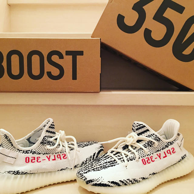 28.0 yeezy ゼブラ