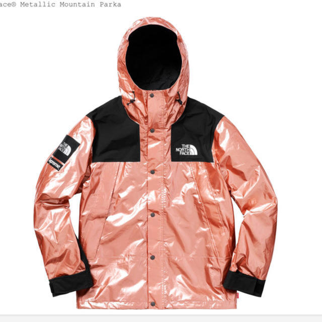 新作モデル Supreme Lサイズ TNF supreme - マウンテンパーカー - www