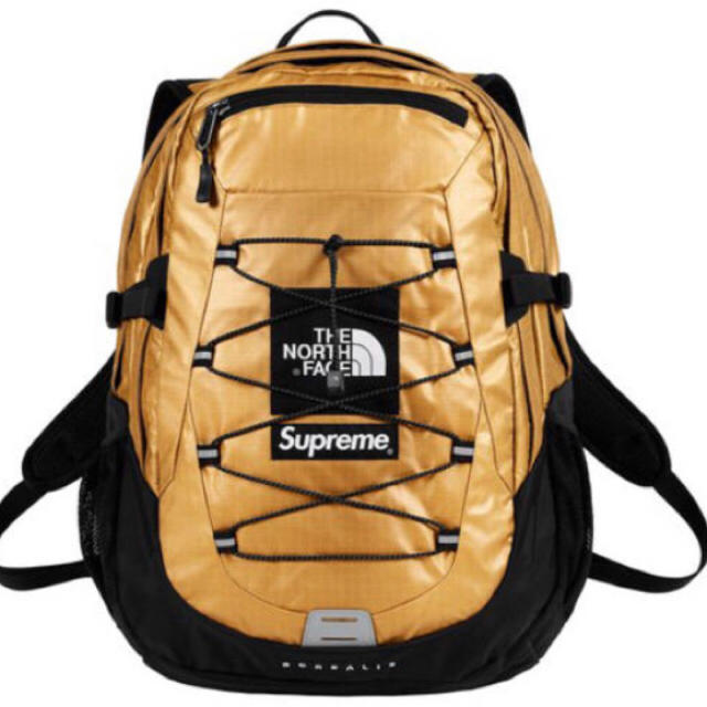 Supreme®/The North Face® Metallic リュック