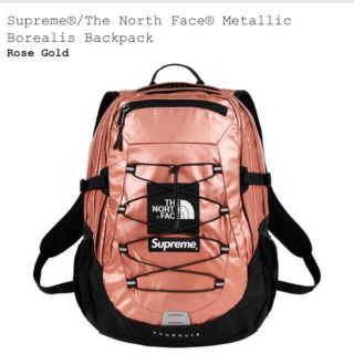 シュプリーム(Supreme)のsupreme the north face (バッグパック/リュック)