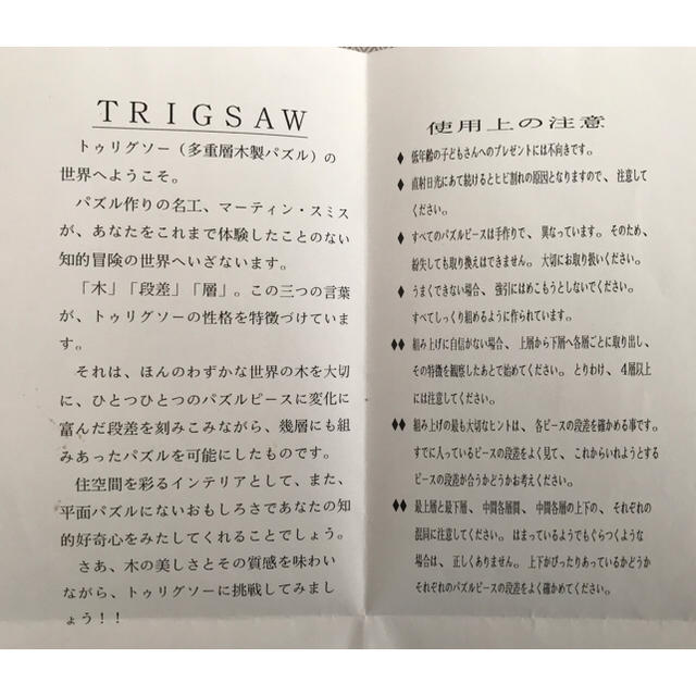 TRIGSAWパズル てんとう虫 多重層木製パズル インテリア 2