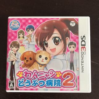 ニンテンドー3DS(ニンテンドー3DS)の花様 専用（２本セット）(携帯用ゲームソフト)