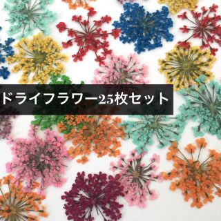 ネイル 小花 レースドライフラワー 25枚セット(ネイル用品)