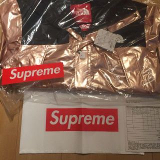 シュプリーム(Supreme)のSupreme The North Face マウンティンパーカー L(マウンテンパーカー)