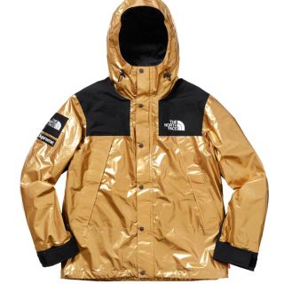 シュプリーム(Supreme)の専用supreme The North Face  Mountain Parka(マウンテンパーカー)