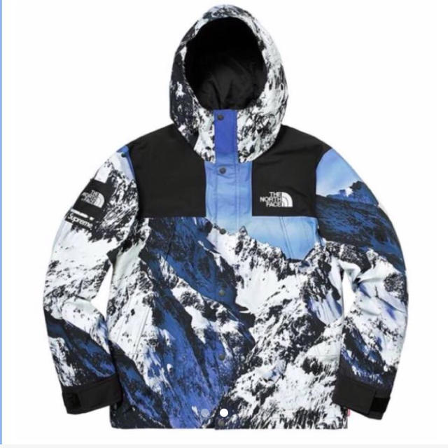 Supreme The North Face MountainParkaS 雪山