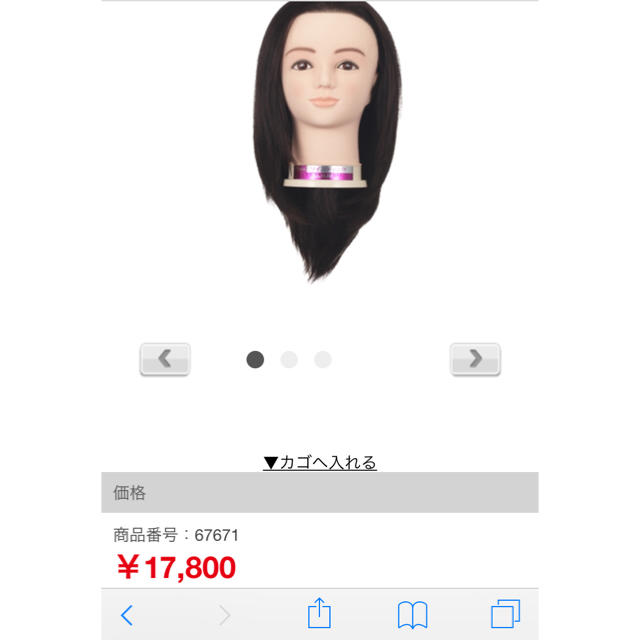 ワインディングウイッグ その他のその他(その他)の商品写真