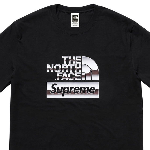 Supreme North Face Metallic Logo T-Shirt