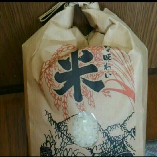 新潟のお米コシヒカリ２kg(米/穀物)