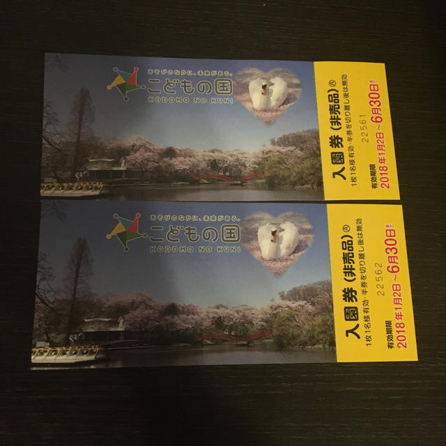 こどもの国 横浜 2枚 チケットの施設利用券(遊園地/テーマパーク)の商品写真