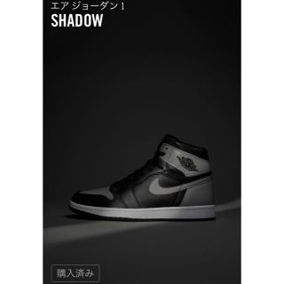 ナイキ(NIKE)のAIR JORDAN 1 RETRO HIGH OG "SHADOW"(スニーカー)