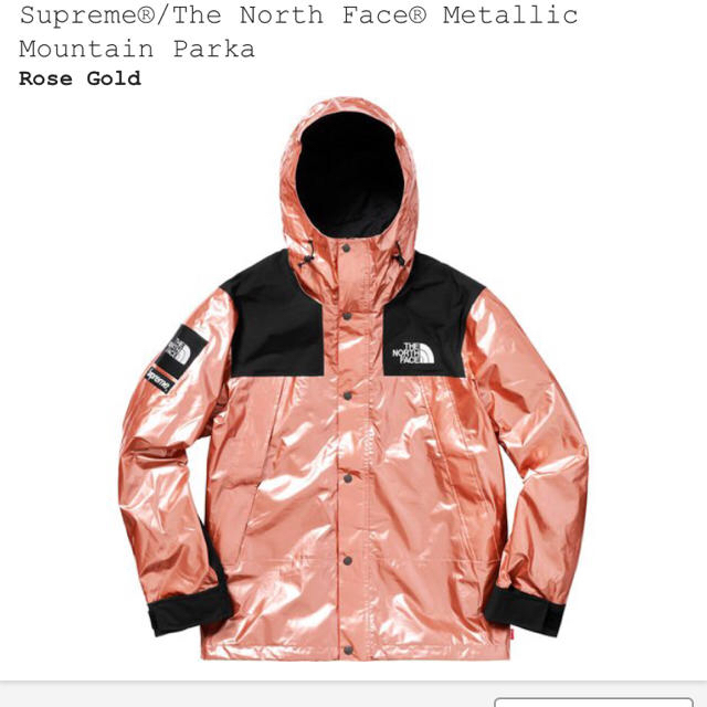 早い者勝ち!2014SS Supreme x The North Face | www.visadoctor.in