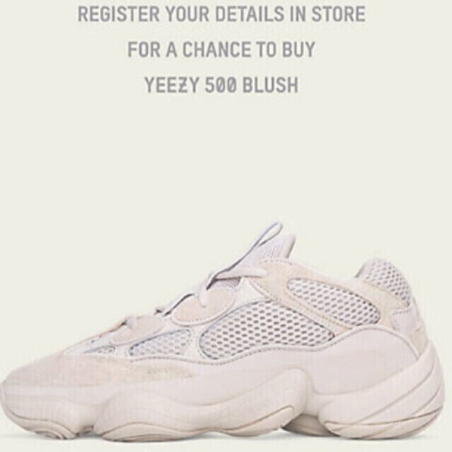 adidas(アディダス)のYEEZY 500 BLUSH イージー メンズの靴/シューズ(スニーカー)の商品写真