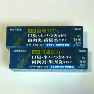 サンスター(SUNSTAR)の生薬 当帰の力で  塩ハミガキ 30g×2本(60g)(歯磨き粉)