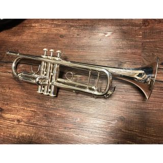 美品】TR-400 Vincent Bach トランペット | www.plazagardens.com