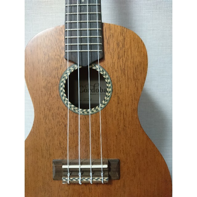 Cordoba コルドバ ウクレレ 20CM | www.innoveering.net